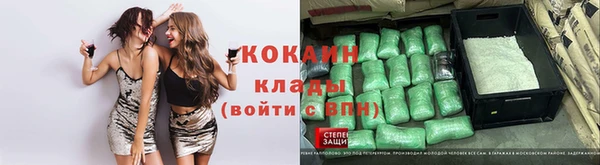 гашиш Касимов