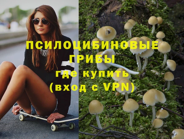 твердый Зеленокумск