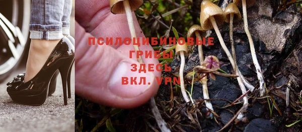 jwh Белокуриха