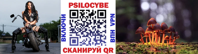 Галлюциногенные грибы ЛСД Малоярославец